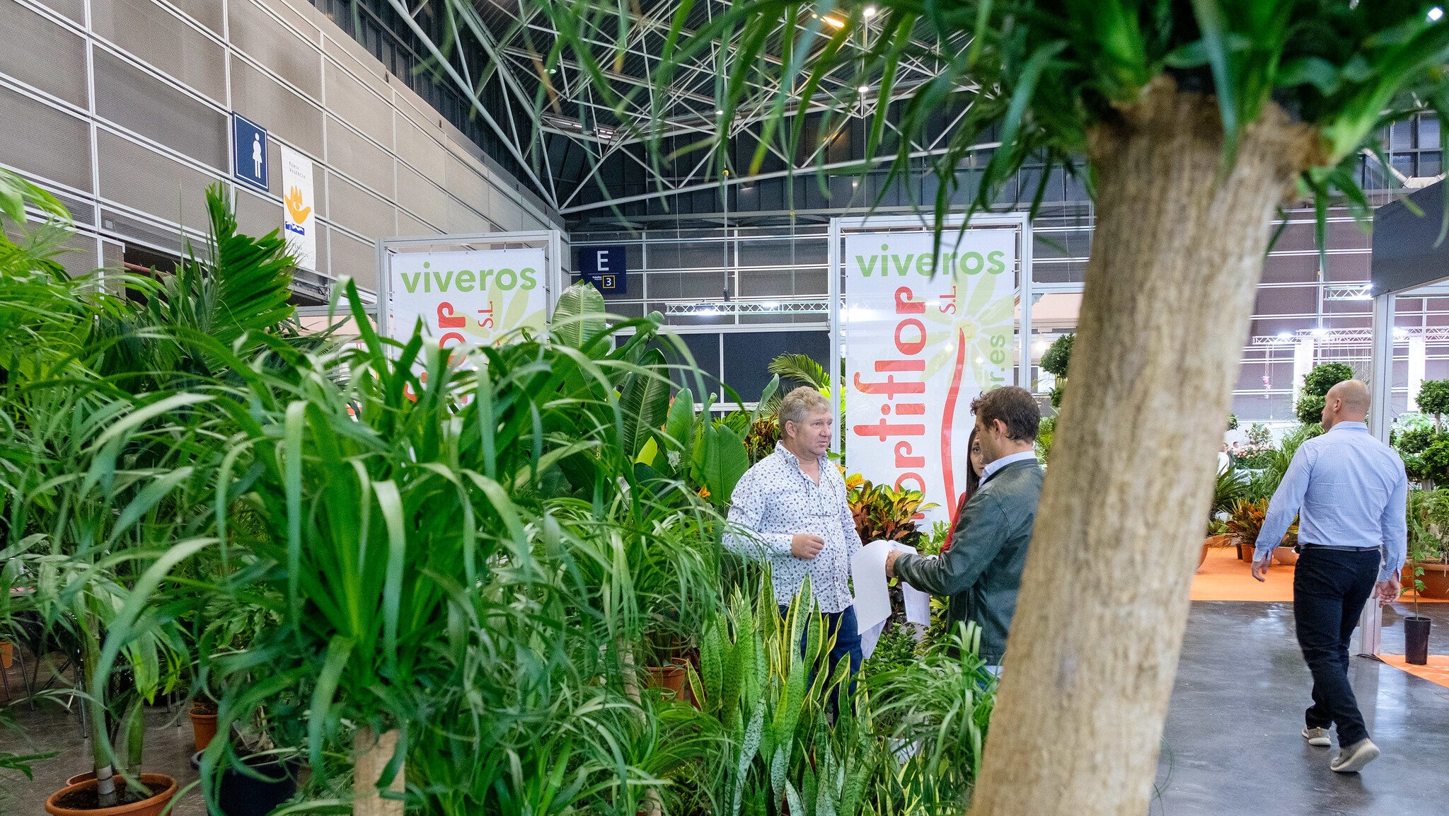 iberflora|iberflora|iberflora|iberflora